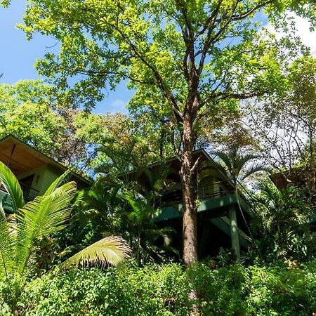 Arbol Verde Villas Ojochal Esterno foto