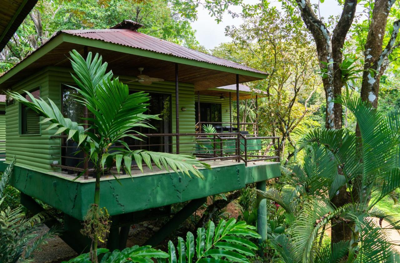 Arbol Verde Villas Ojochal Esterno foto