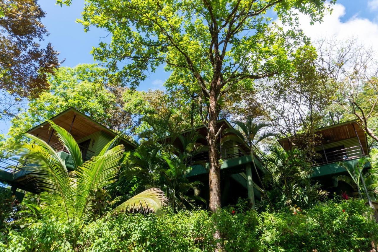 Arbol Verde Villas Ojochal Esterno foto