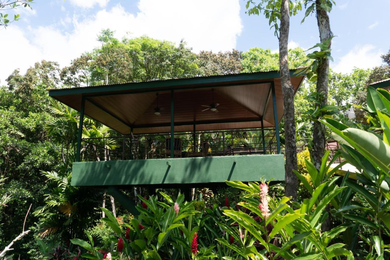 Arbol Verde Villas Ojochal Esterno foto